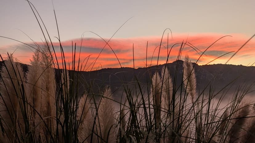 Staying Clean Through the Holidays