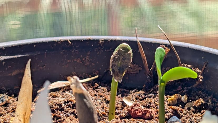 When Endings Become Beginnings